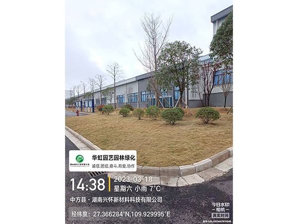 湖南興懷新材料有限公司綠化施工現場